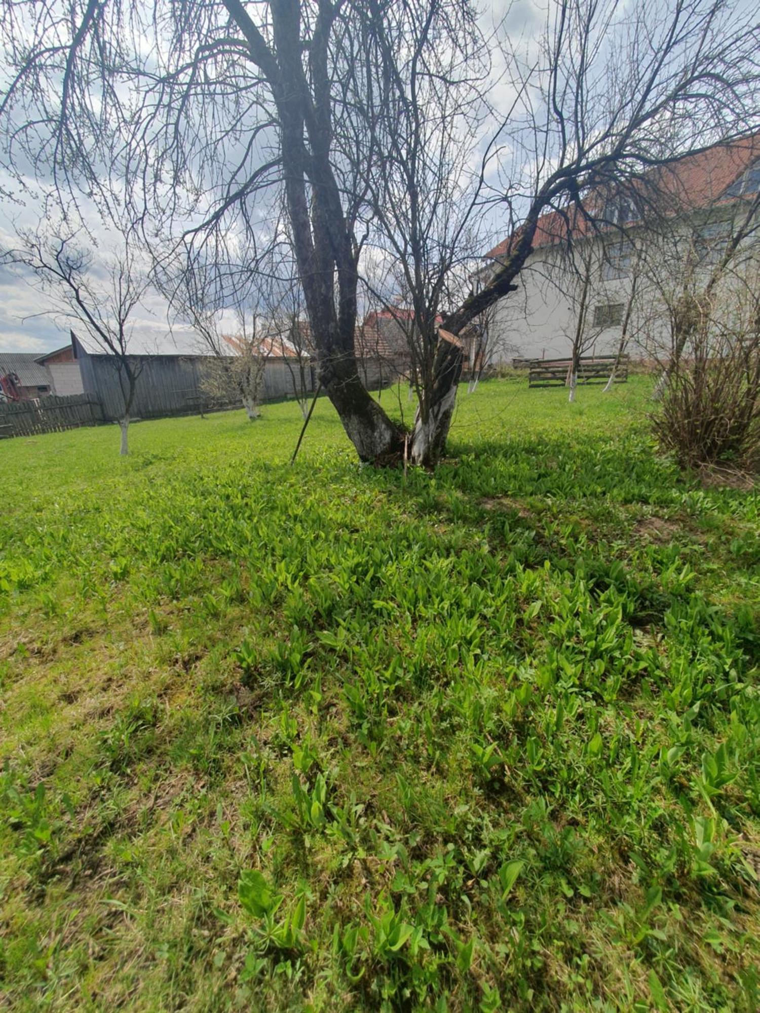 Casa Traditionala Bilbor Extérieur photo